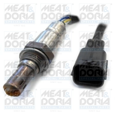 Oxygen Sensor